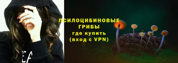 гидропоника Михайлов