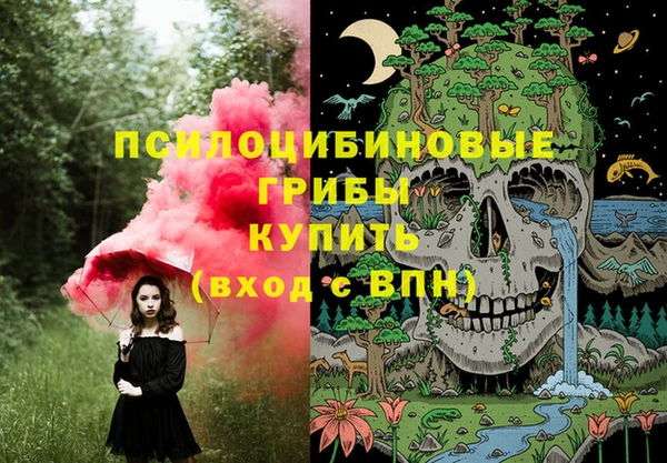 гидропоника Михайлов