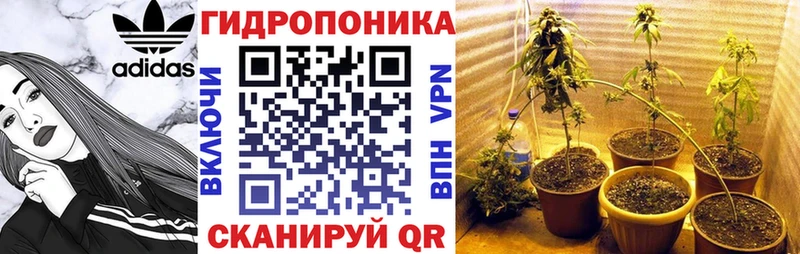 мориарти клад  Тамбов  Бошки марихуана White Widow 